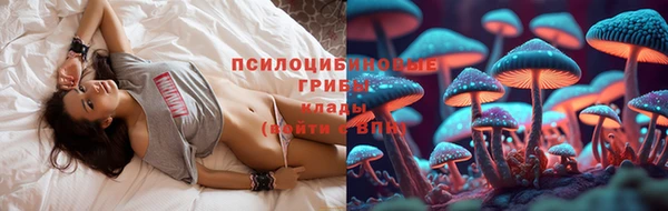 круглые Белокуриха