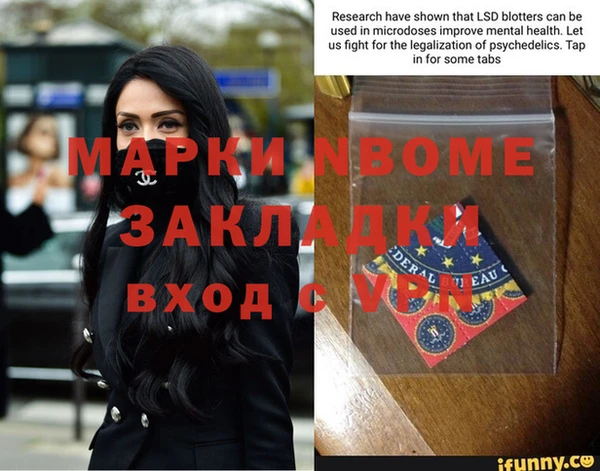 шишки Баксан