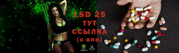 шишки Баксан