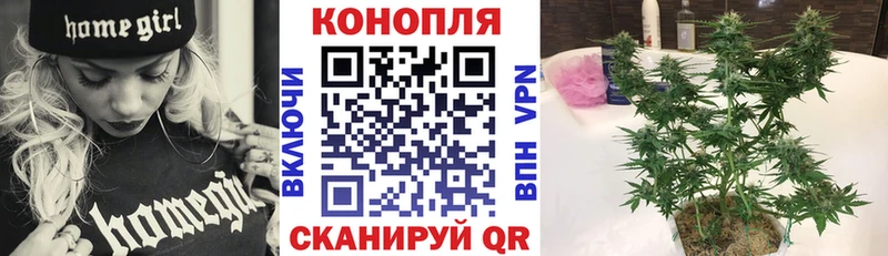 Марихуана Bruce Banner Кущёвская